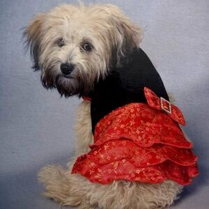 Paw Appeal Elegant Red and Black Dog Dress -Medium